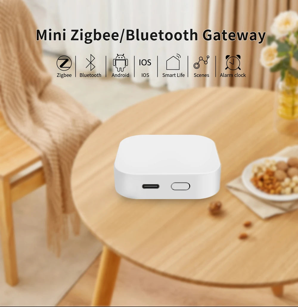 Gateway Tuya - Opzioni Zigbee e Bluetooth