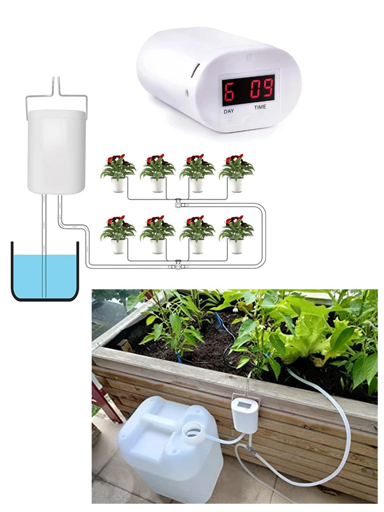Pompa Automatica per Irrigazione Piante con Timer