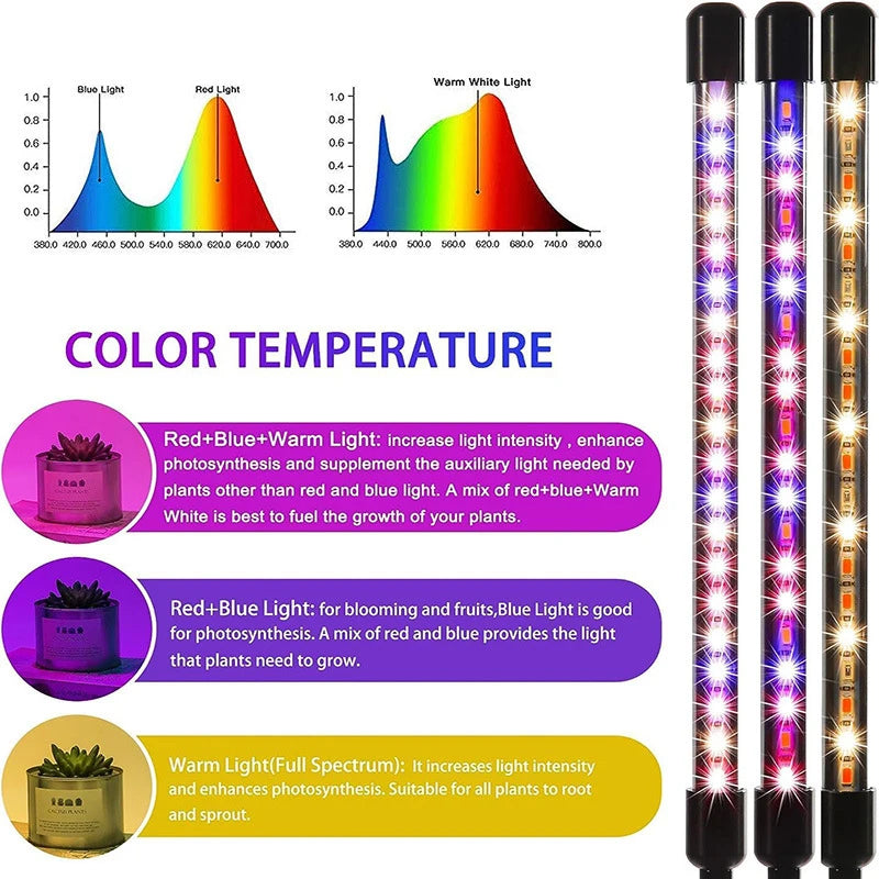 USB Gooseneck Plant Lamp, Timer and Pack Options