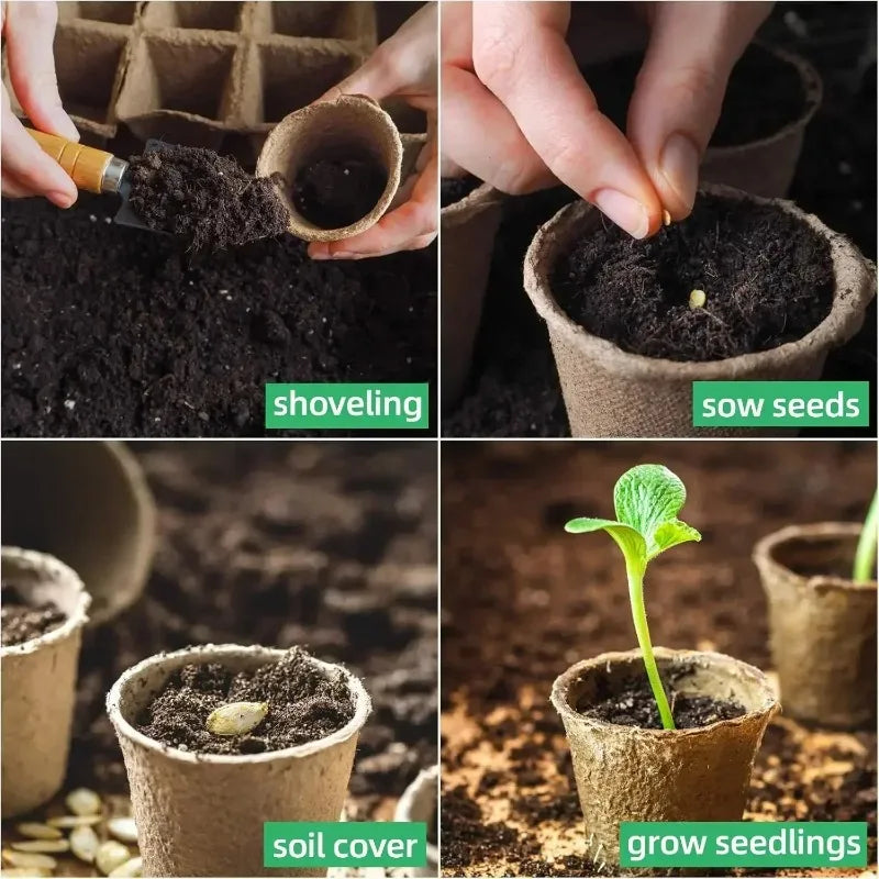 Pulp Seed-Starting Pots, 20–200-Piece Packs