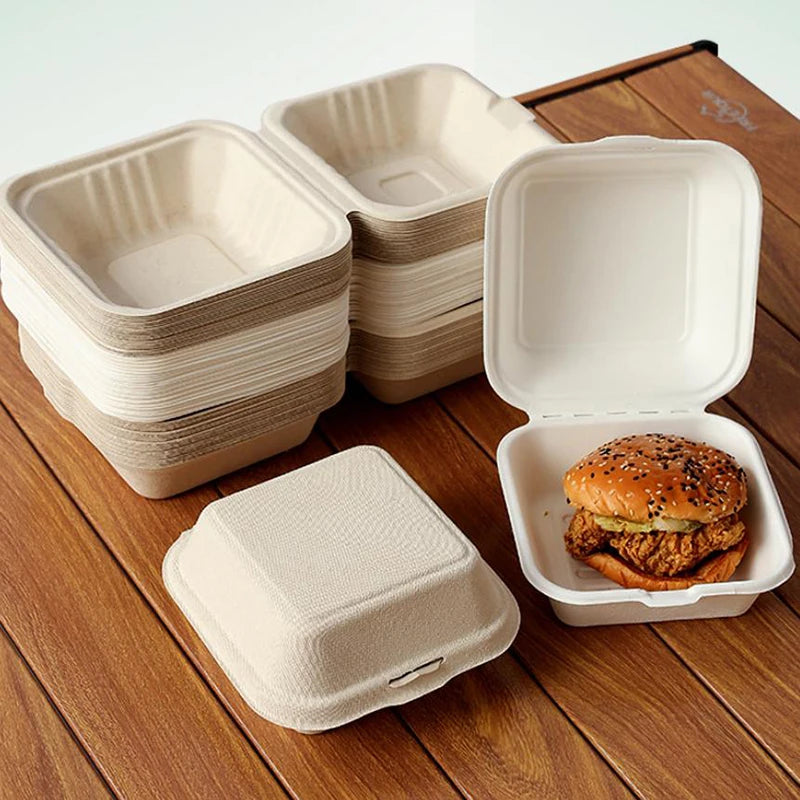 Disposable Fibre Bento Containers, Pack of 10