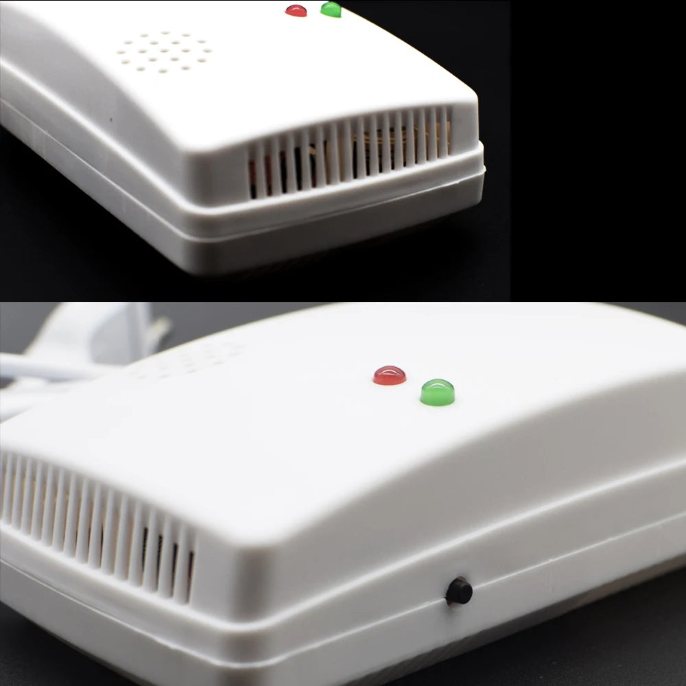 Gas Detector and Carbon Monoxide Alarm for Home Safety