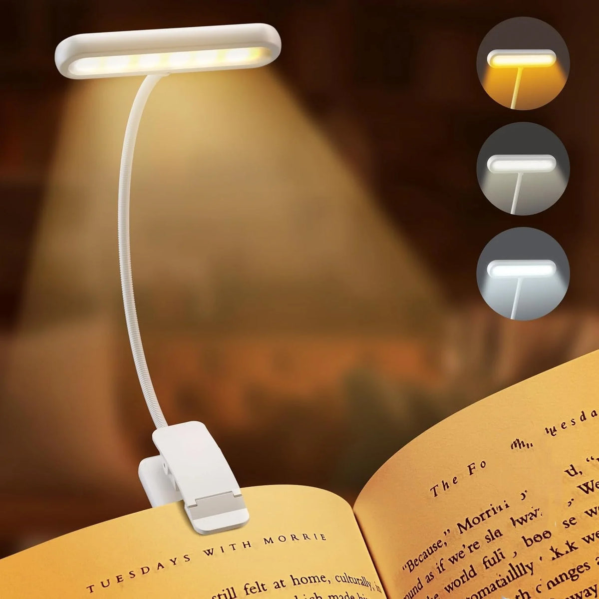 Flexible Clip-On LED Reading Light