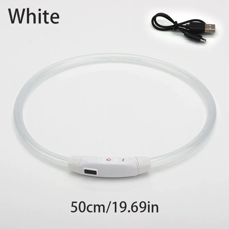 Collar de mascota con LED recargable por USB