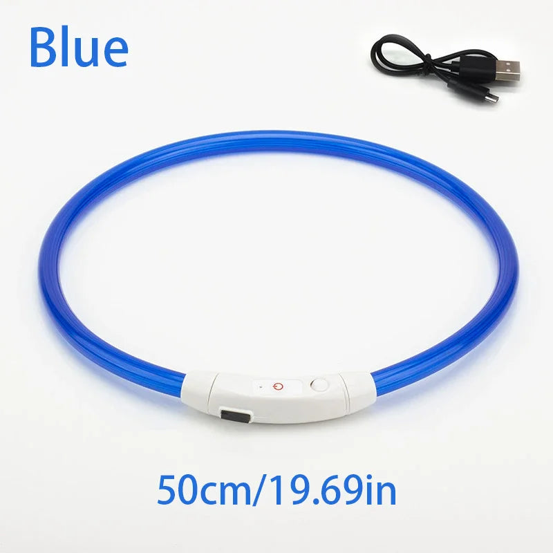 Collar de mascota con LED recargable por USB