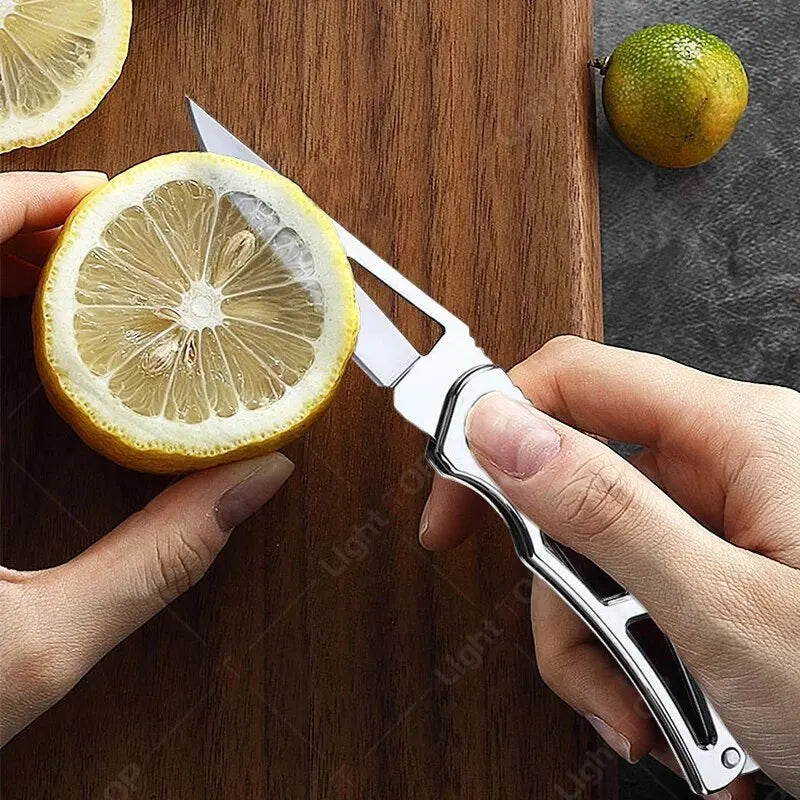 Folding Fruit Knife Stainless Steel Pocket Knife with Keychain Fruit Slicing Knives with Non-slip Handle Household Small Knife 