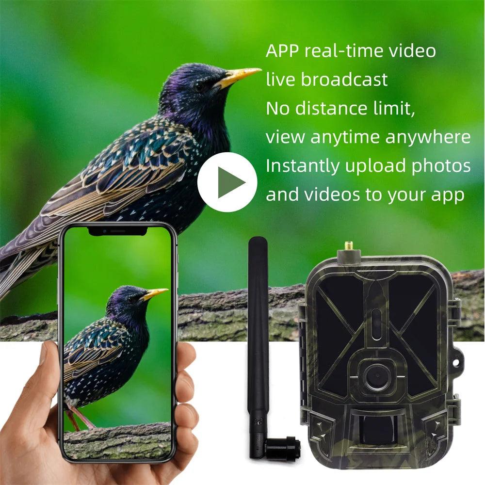 4G HD LIVE Video Lithium Battery Cellular Trail Camera 50MP 4K Wireless Game APP Cloud Service Waterproof IP66 Wildlife Cam Spy-shop.com