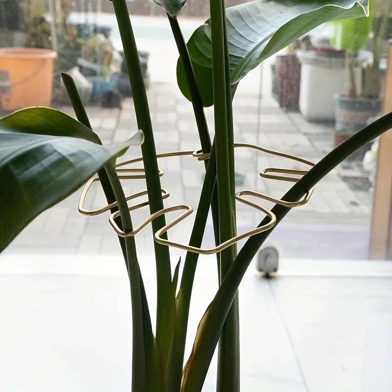 Gennemsigtige Planterstilk-Super Clips, 4 Stykker