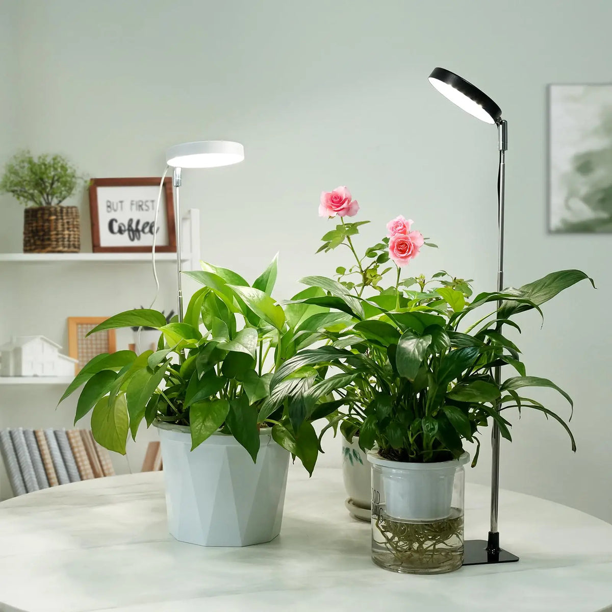 Adjustable USB Halo Plant Light, Base/Pack Options