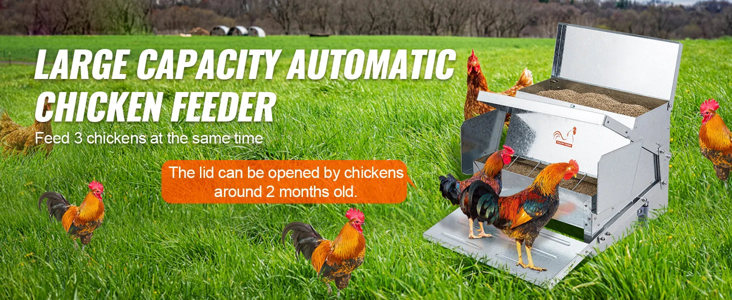 Alimentatore automatico per polli SucceBuy, capacità 25 lb, alimenta fino a 10 polli per 11 giorni, feeder in acciaio zincato per pollame