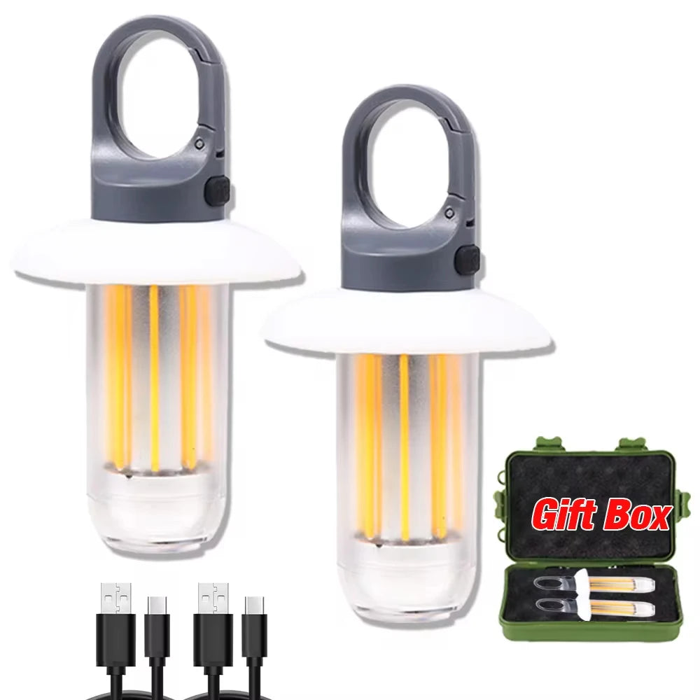 Rechargeable Portable LED Light Options
