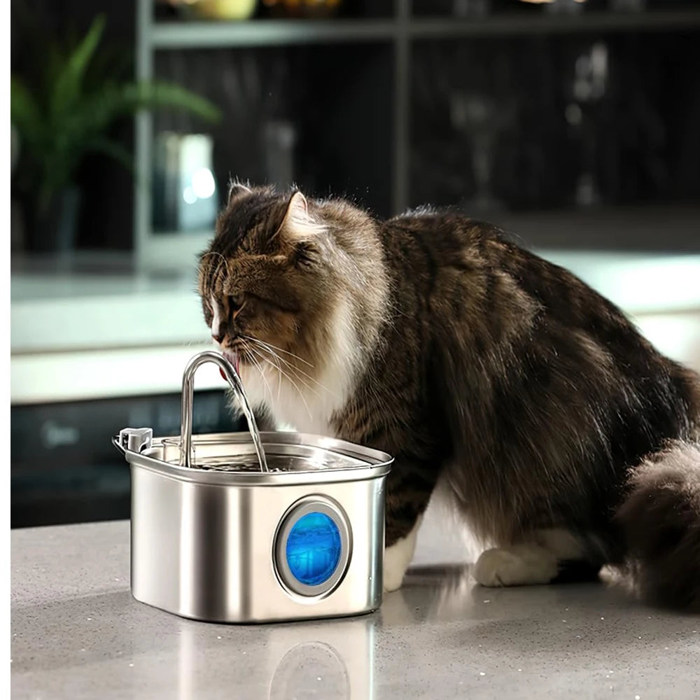 ZYFeeder 2.2L Automatic Cat Water Fountain – Stainless Steel Pet Water Dispenser