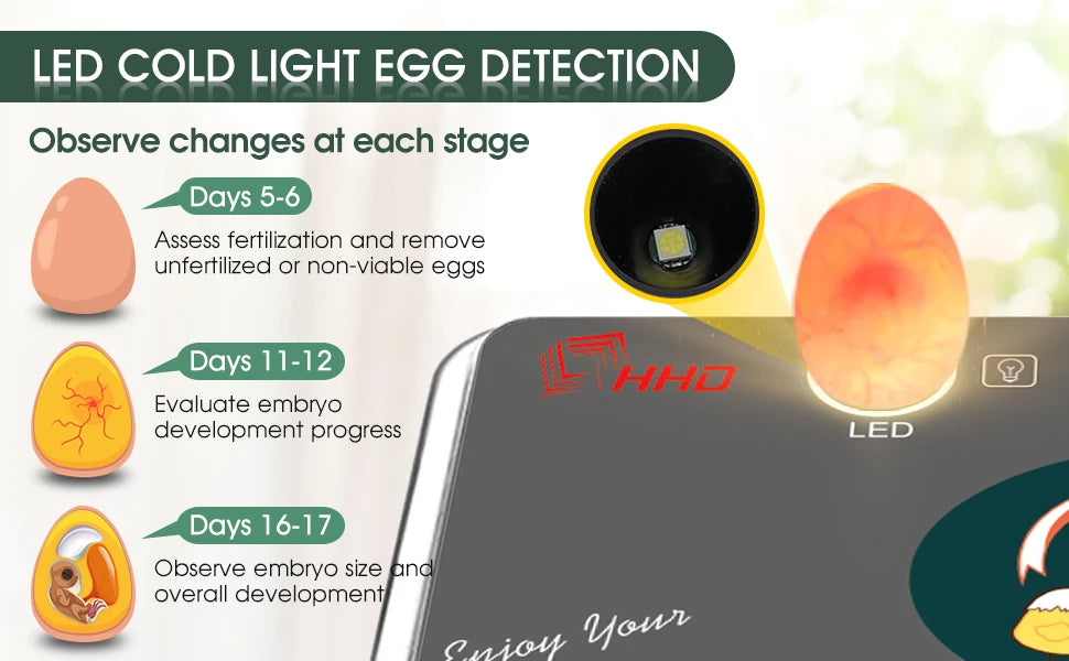 12 Egg Incubator with Auto Turning, Temperature Control & Candler