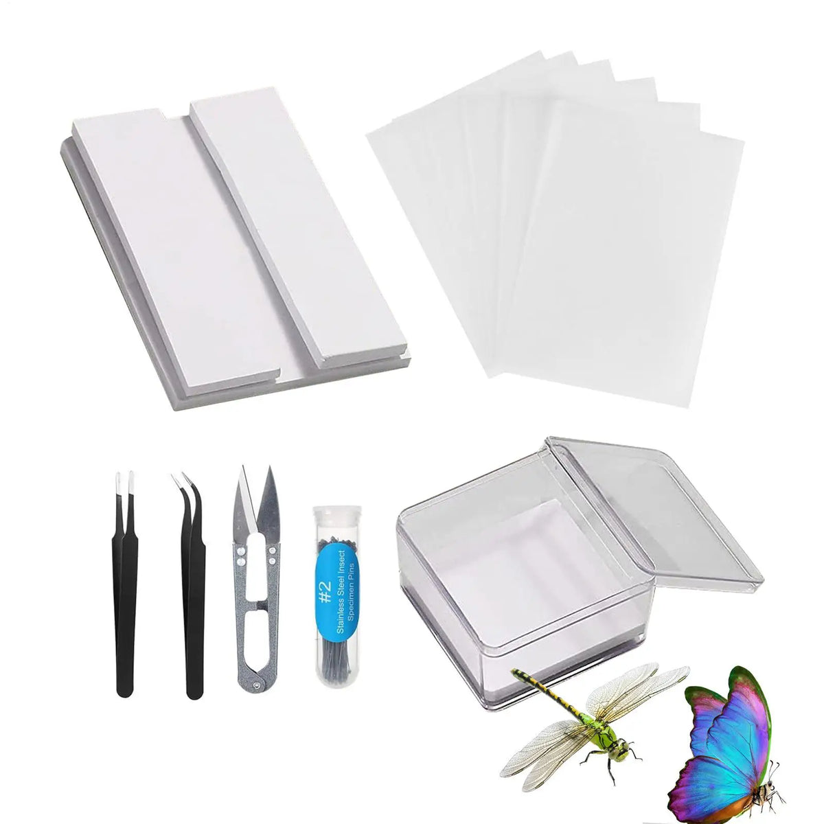 Butterfly Specimen Preparation Tool Kit
