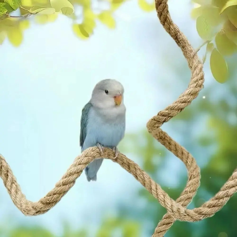 Bendable Rope Bird Perch with Suction Cups