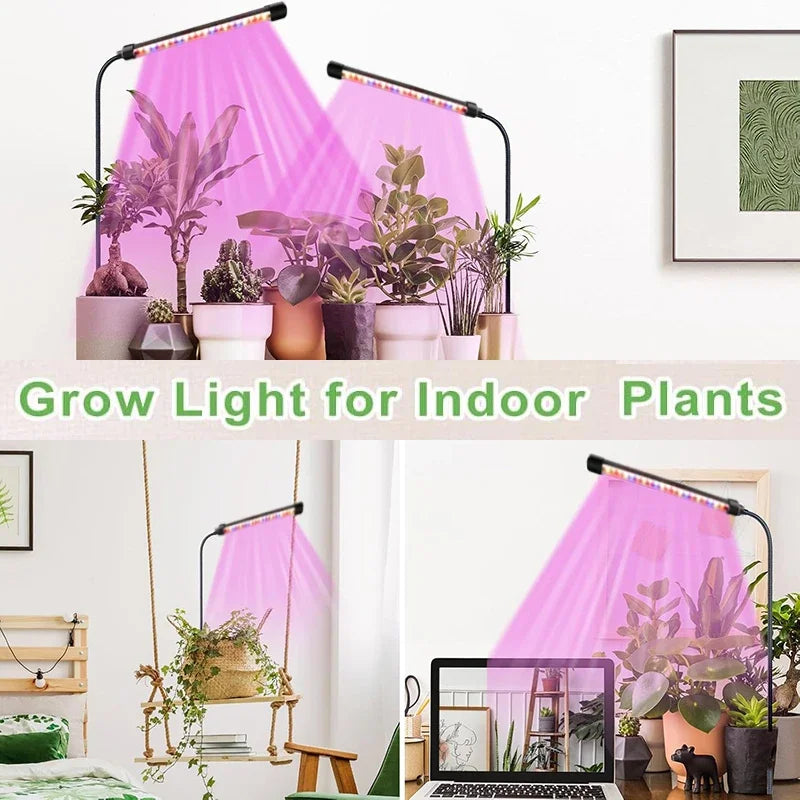 USB Gooseneck Plant Lamp, Timer and Pack Options