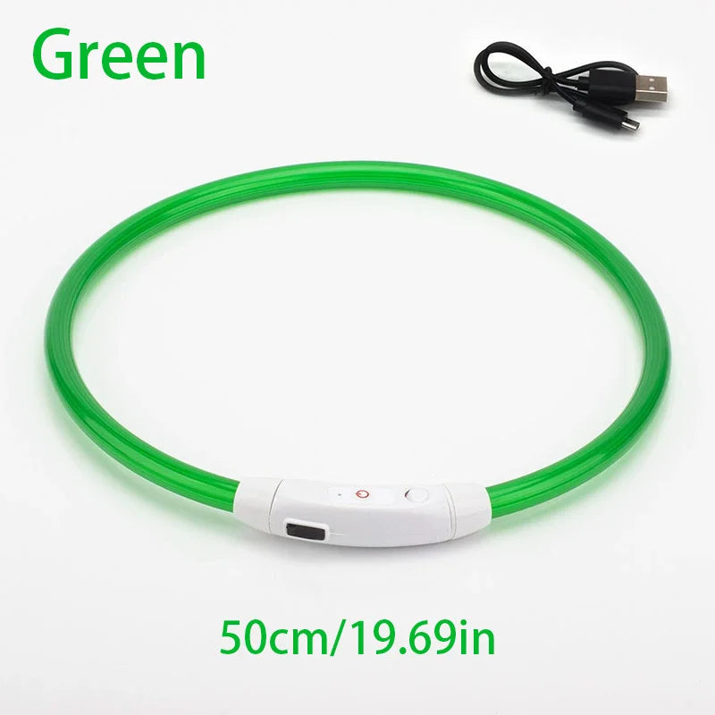 Collar de mascota con LED recargable por USB