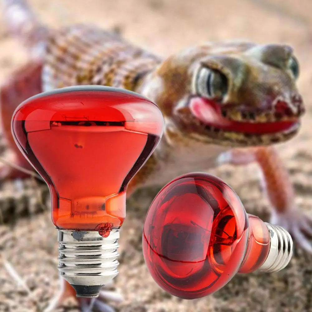 E27 Reptile Heat Bulb, 25–100W Options