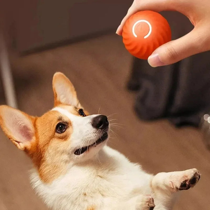 Dog Toy Ball Automatic Moving Bouncing Rolling Ball USB Smart puppy Interactive Dog Chew Toy Ball 