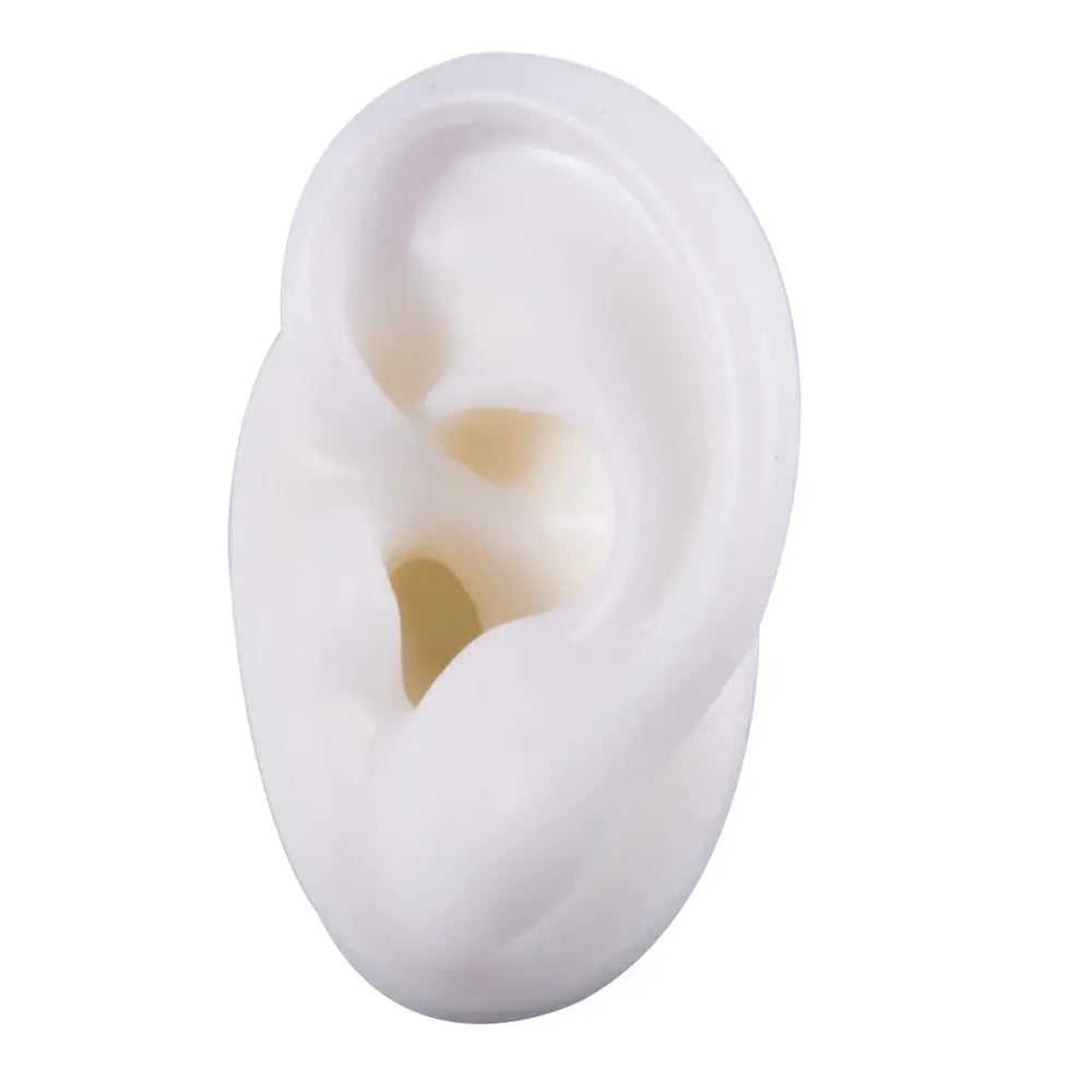 Silicone Ear Model for Teaching and Earring Display
