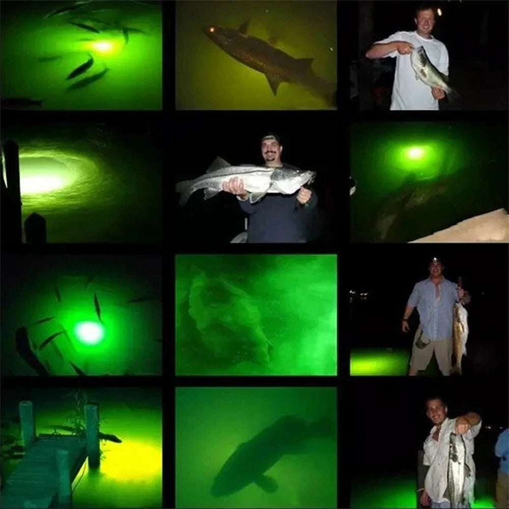 Luz LED sumergible para pesca de 20 W con cable de 5 m