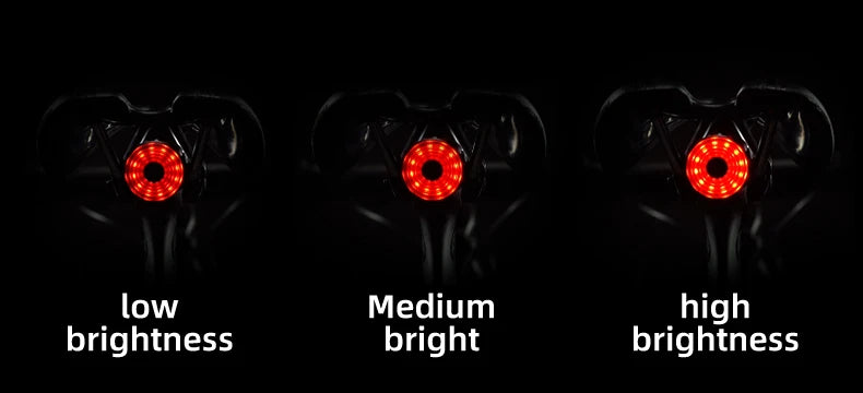 Feu arrière de vélo rechargeable avec détection de freinage et 7 modes  