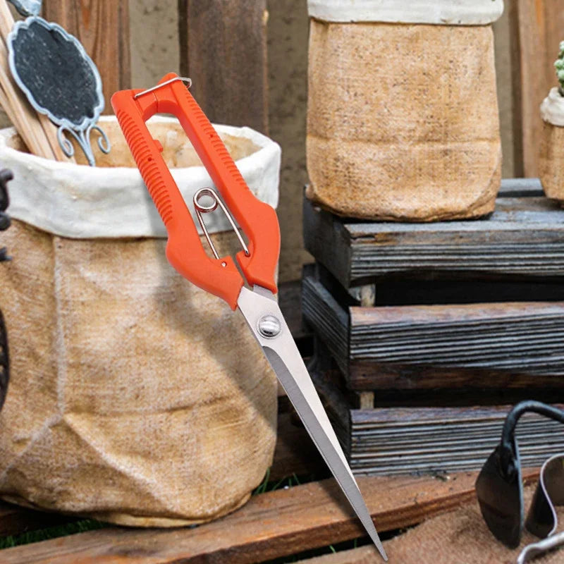 Grape Scissors Pruning Shears Garden Tool Vegetable Patch Bonsai Professional Joinery Stainless Steel Fruit Picking With Lock 