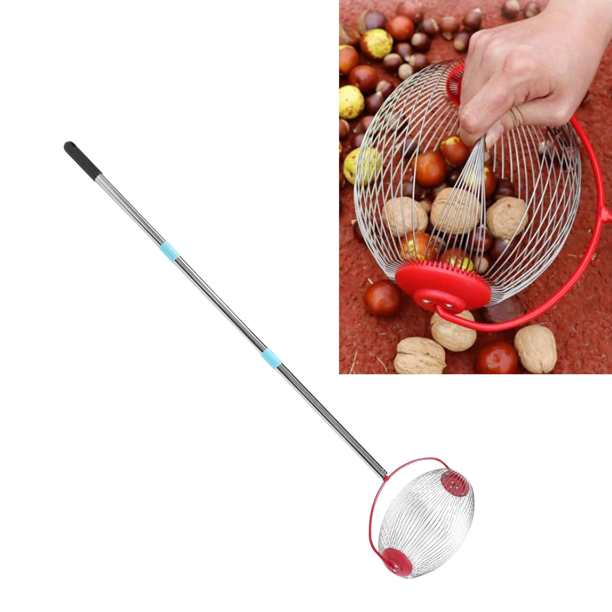 Recipiente de Nozes Giratório com Punho de Três Secções