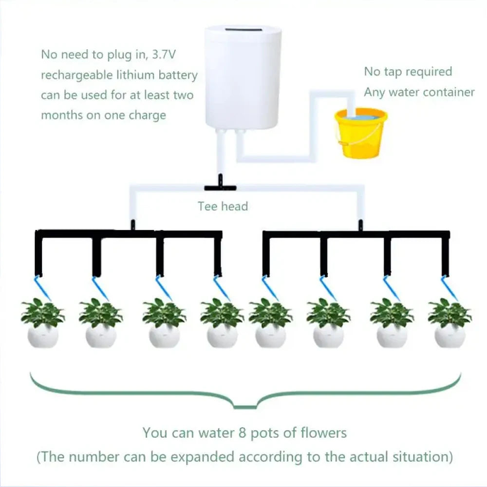 Pompa Automatica per Irrigazione Piante con Timer