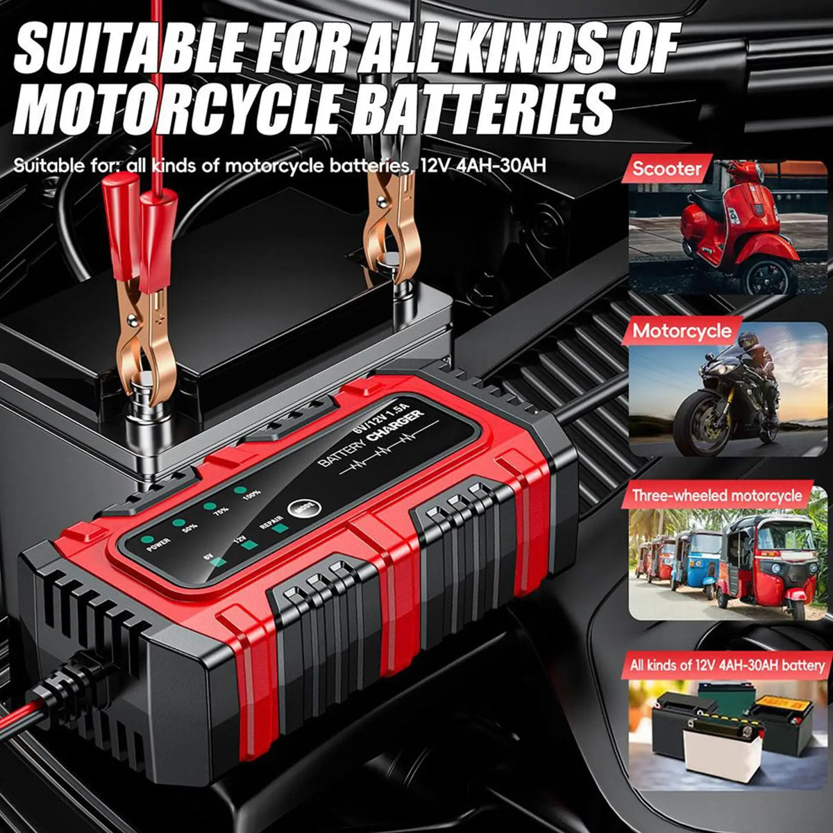 6V/12V Lead-Acid Battery Charger, EU/US Options