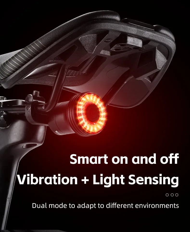 Smart Bicycle Tail Light — USB-C