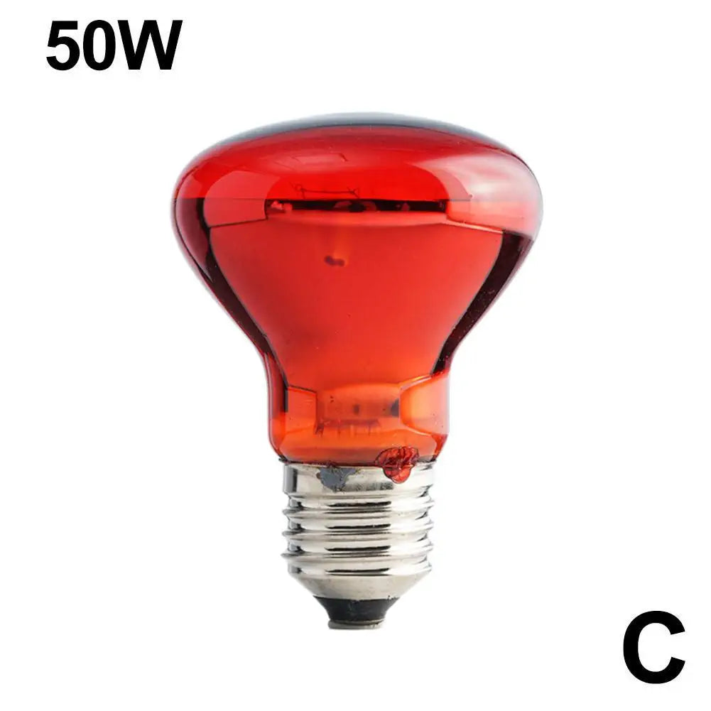 E27 Reptile Heat Bulb, 25–100W Options