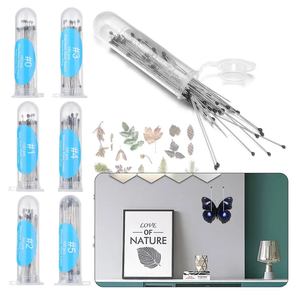 Stainless Steel Insect Specimen Pins - 100 Pieces