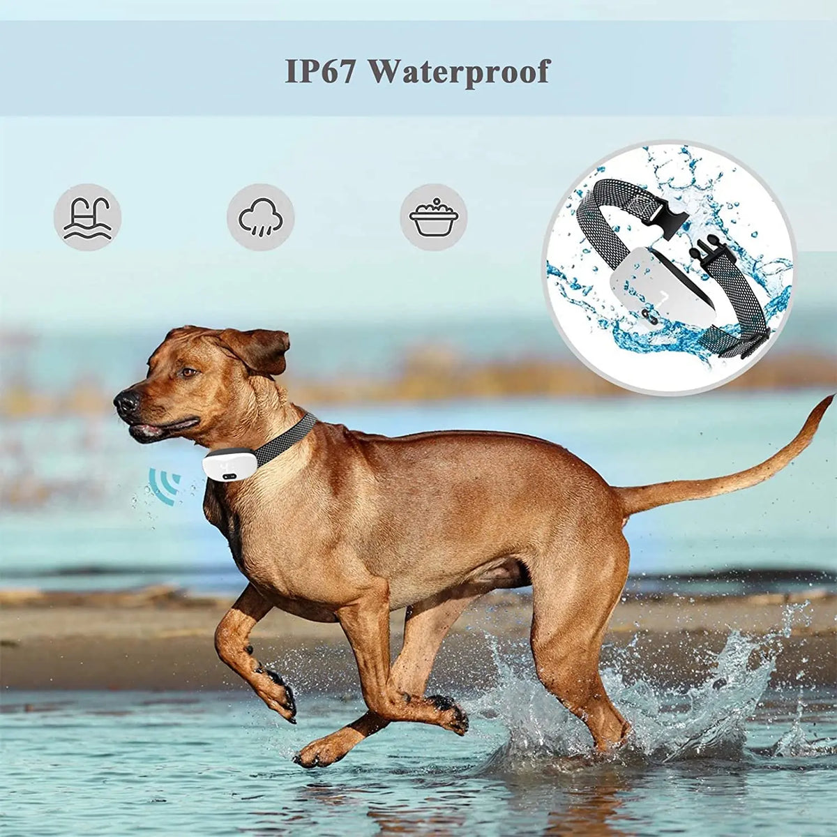 USB-Rechargeable Bark-Response Collar, Model 658