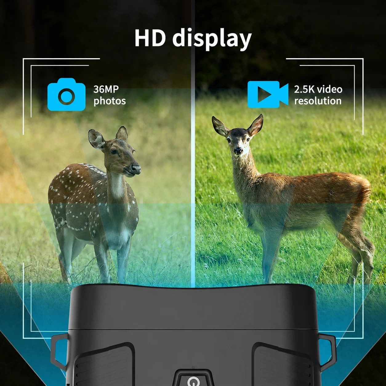 2.5K Night Vision Goggles with 36MP Photos and 6X Zoom