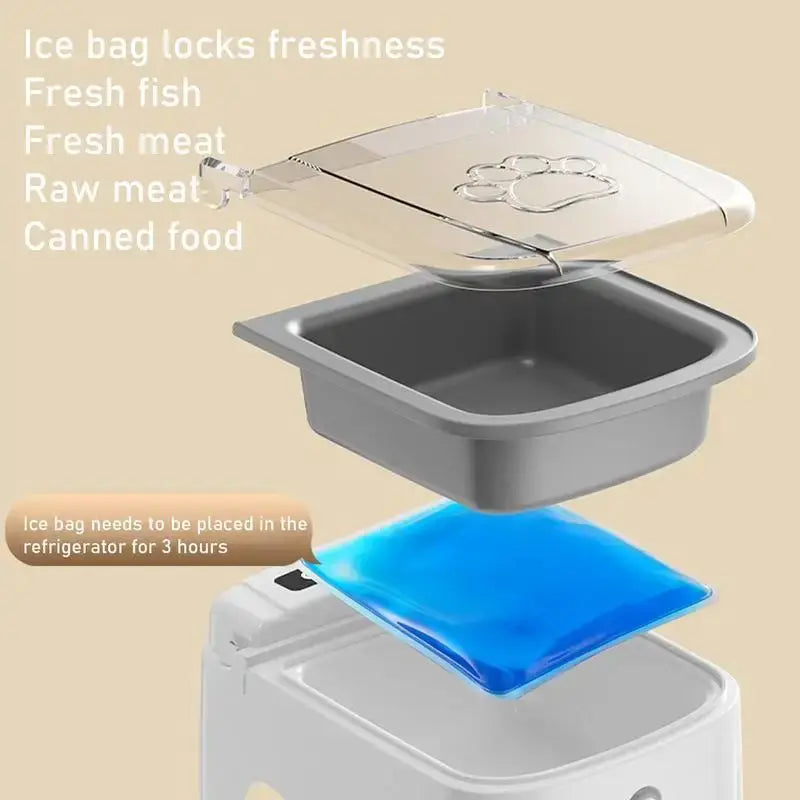 Timed Automatic Pet Feeder