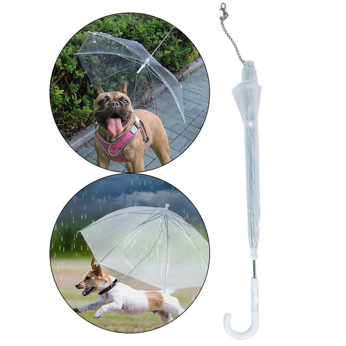 Chapéu de PET transparente com trela ligada