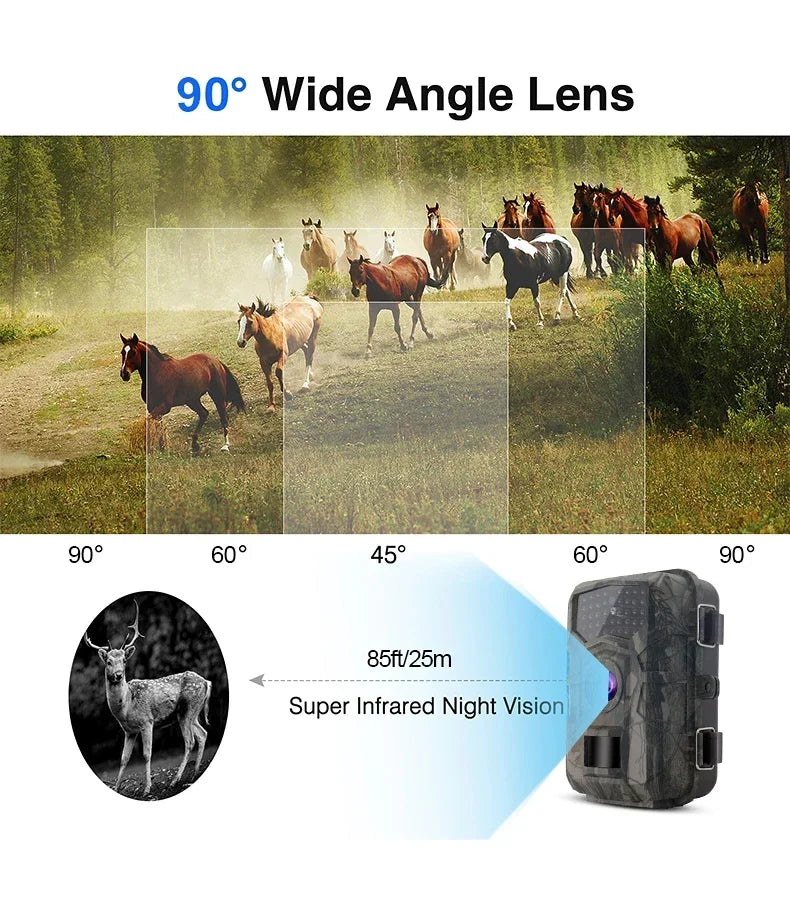 Wild Infrared Night Vision Hunting Camera with 16MP 1080P