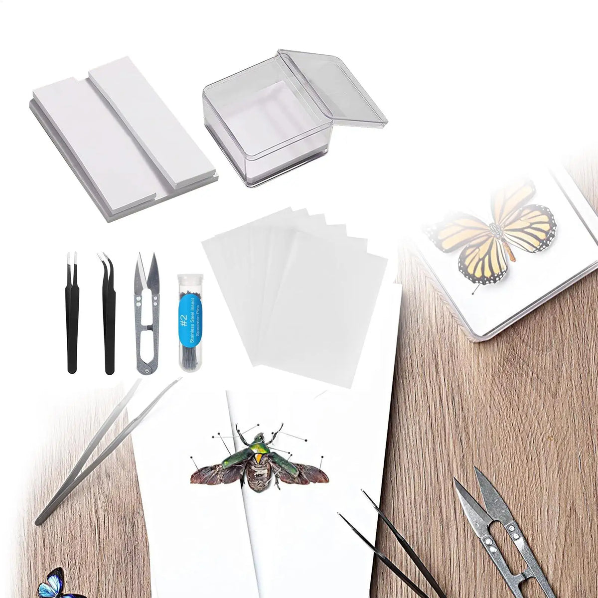 Butterfly Specimen Preparation Tool Kit