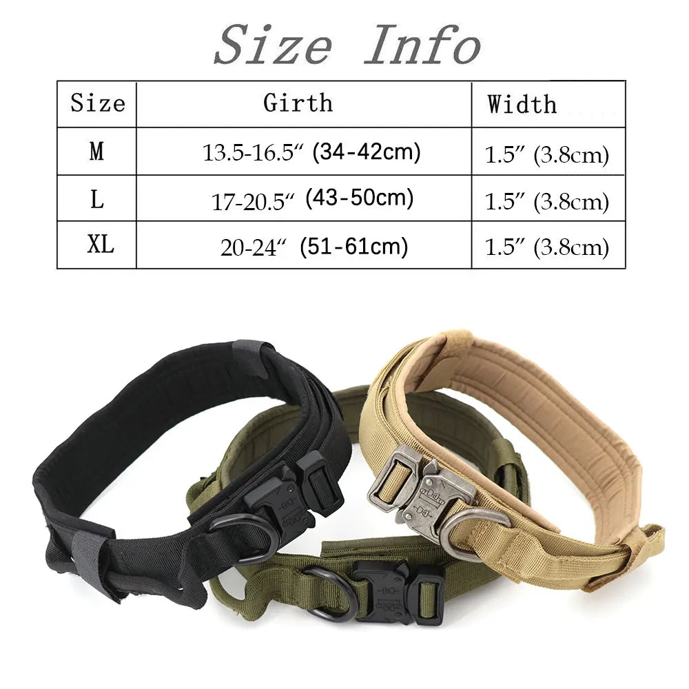Large Dog Harness and Leash Set for Training and Walking