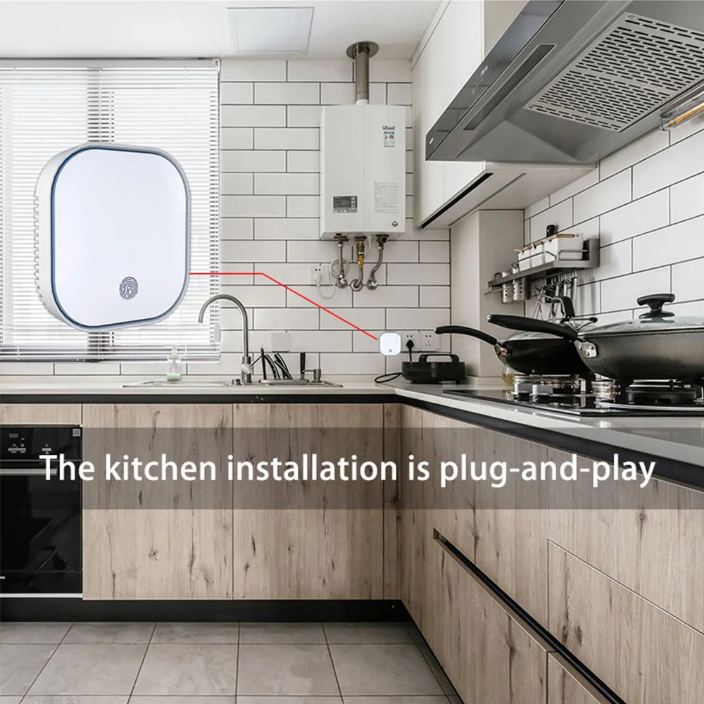 WiFi Smart Gas and Carbon Monoxide Alarm Detector
