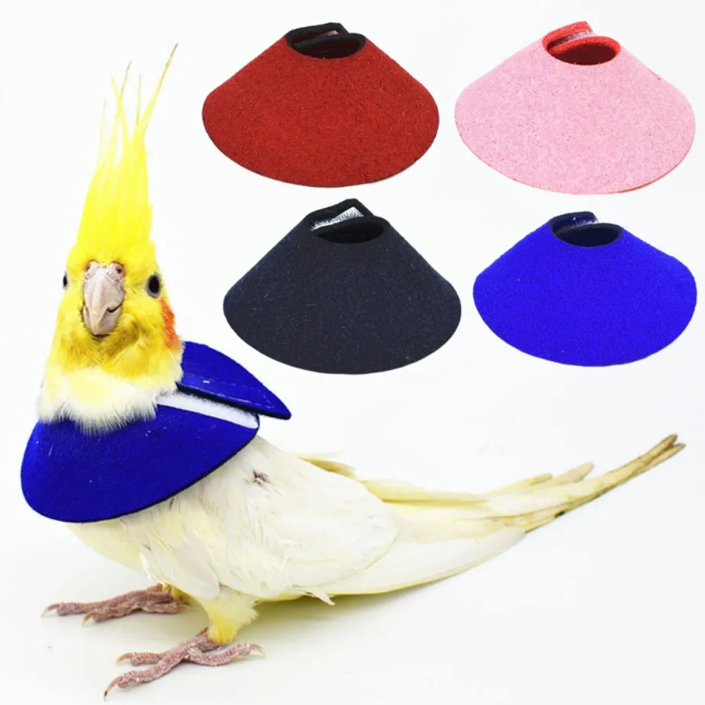 Adjustable Parrot Recovery Collar