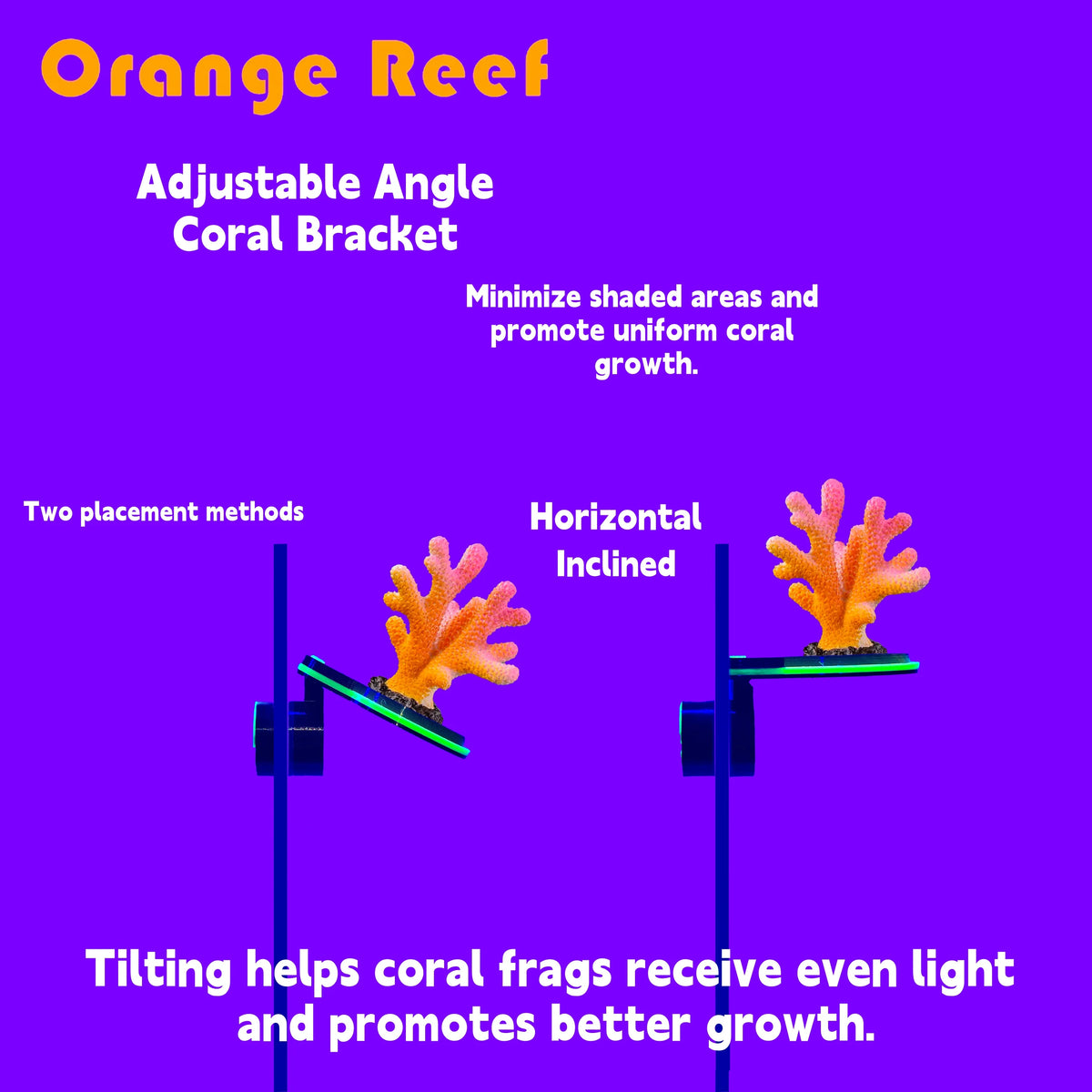 Magnetisk Coral Frag Holder — Fluorescerende Farver