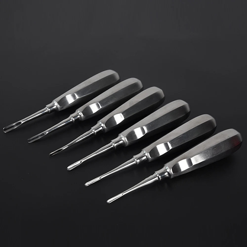 Stainless Steel Dental Elevators, 1 Piece