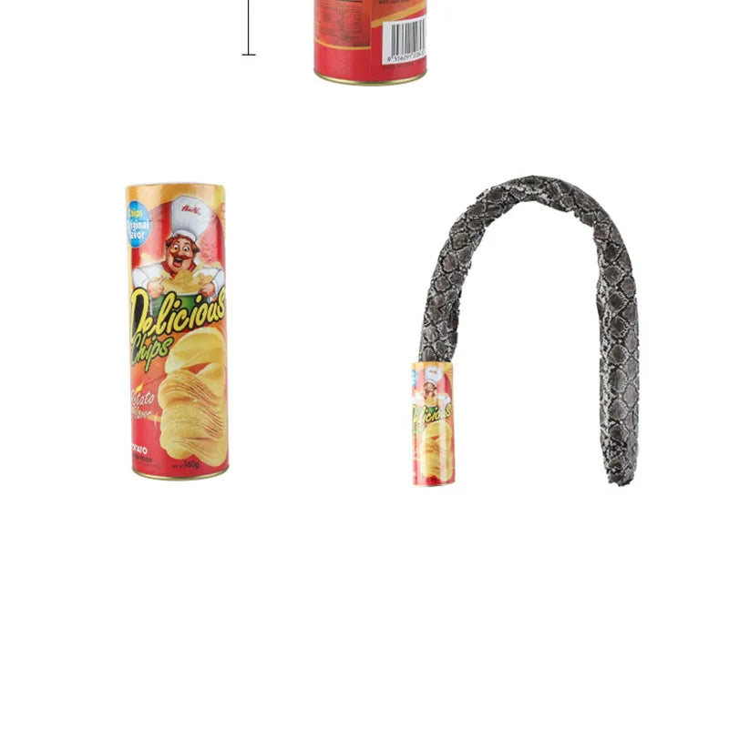 Prank Snake Toy in Potato Chip Can 🐍 
