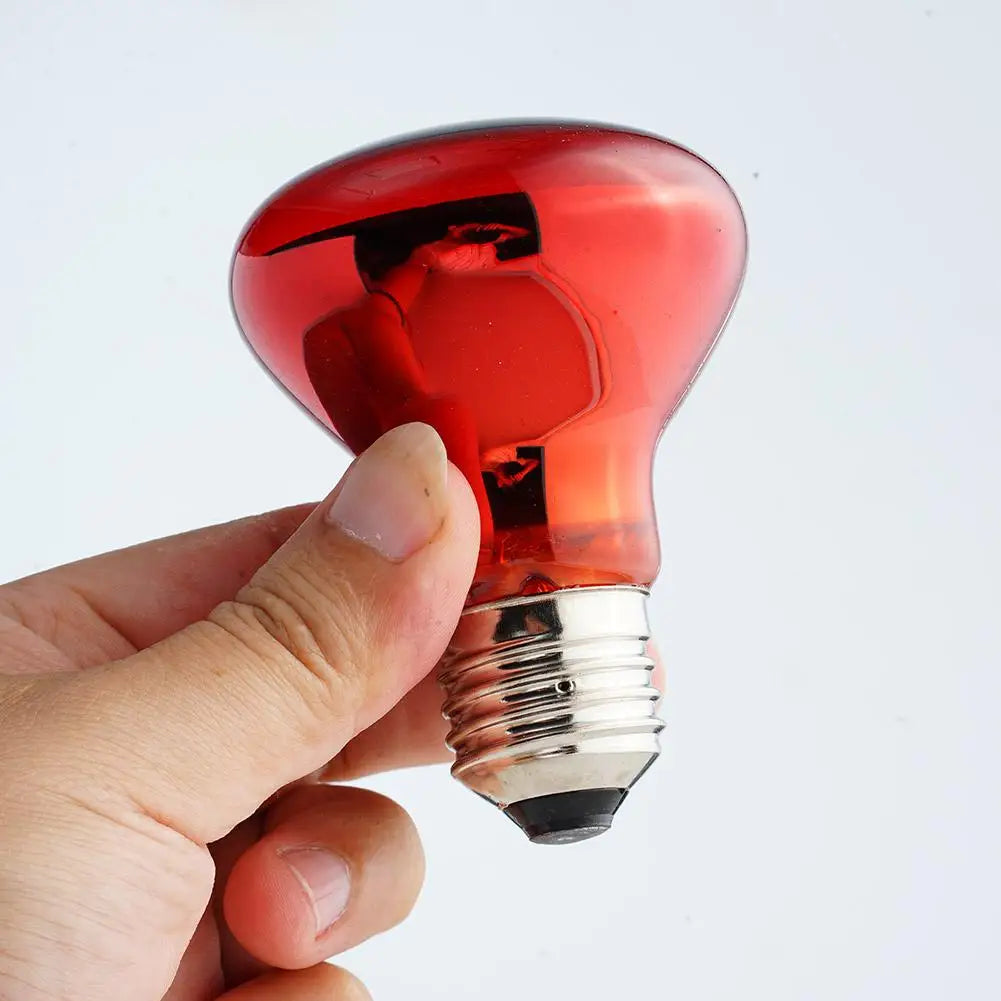 E27 Reptile Heat Bulb, 25–100W Options