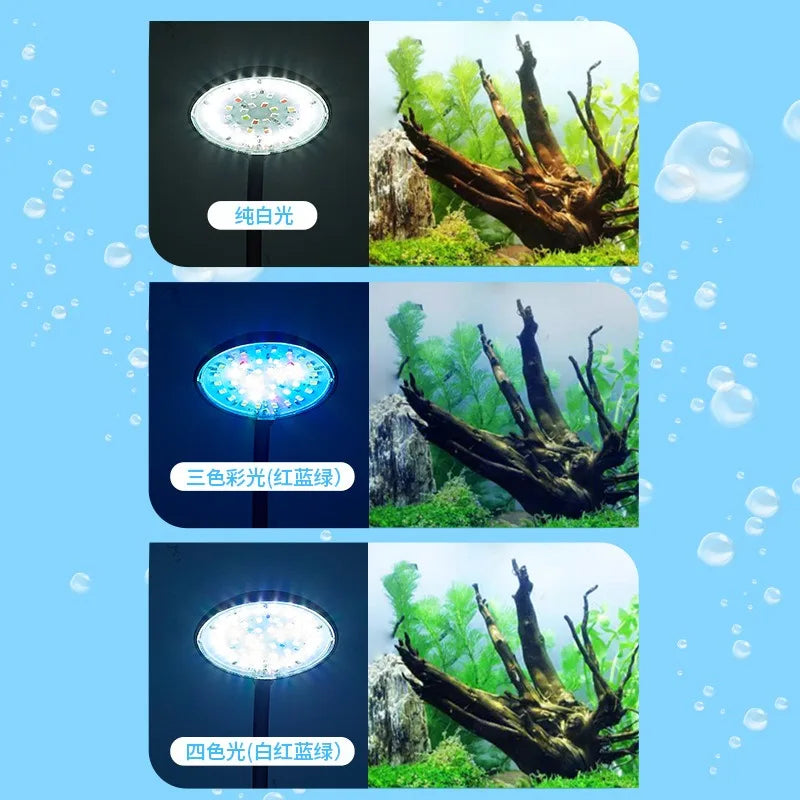 USB Clip-On Aquarium LED Light, 5W or 7W, Black or White