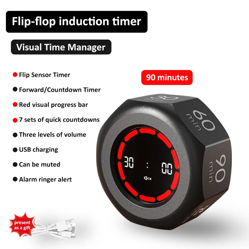 Rechargeable Flip Timer with Visual Display