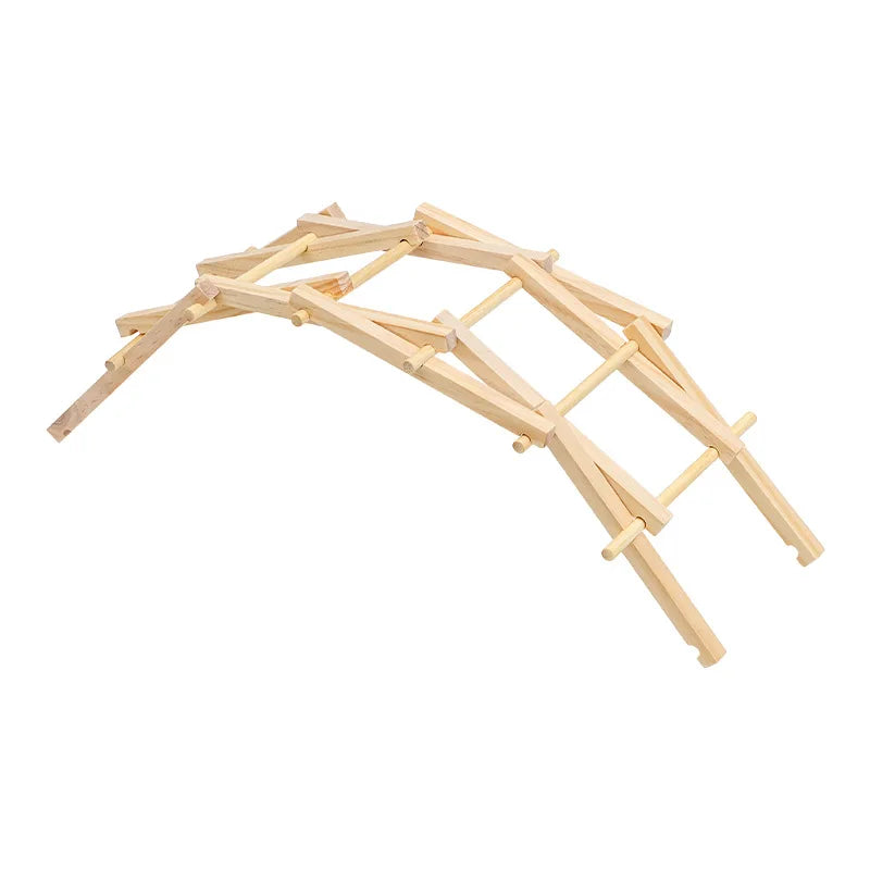 Kit de Modelo de Construção de Ponte de Arco de Madeira