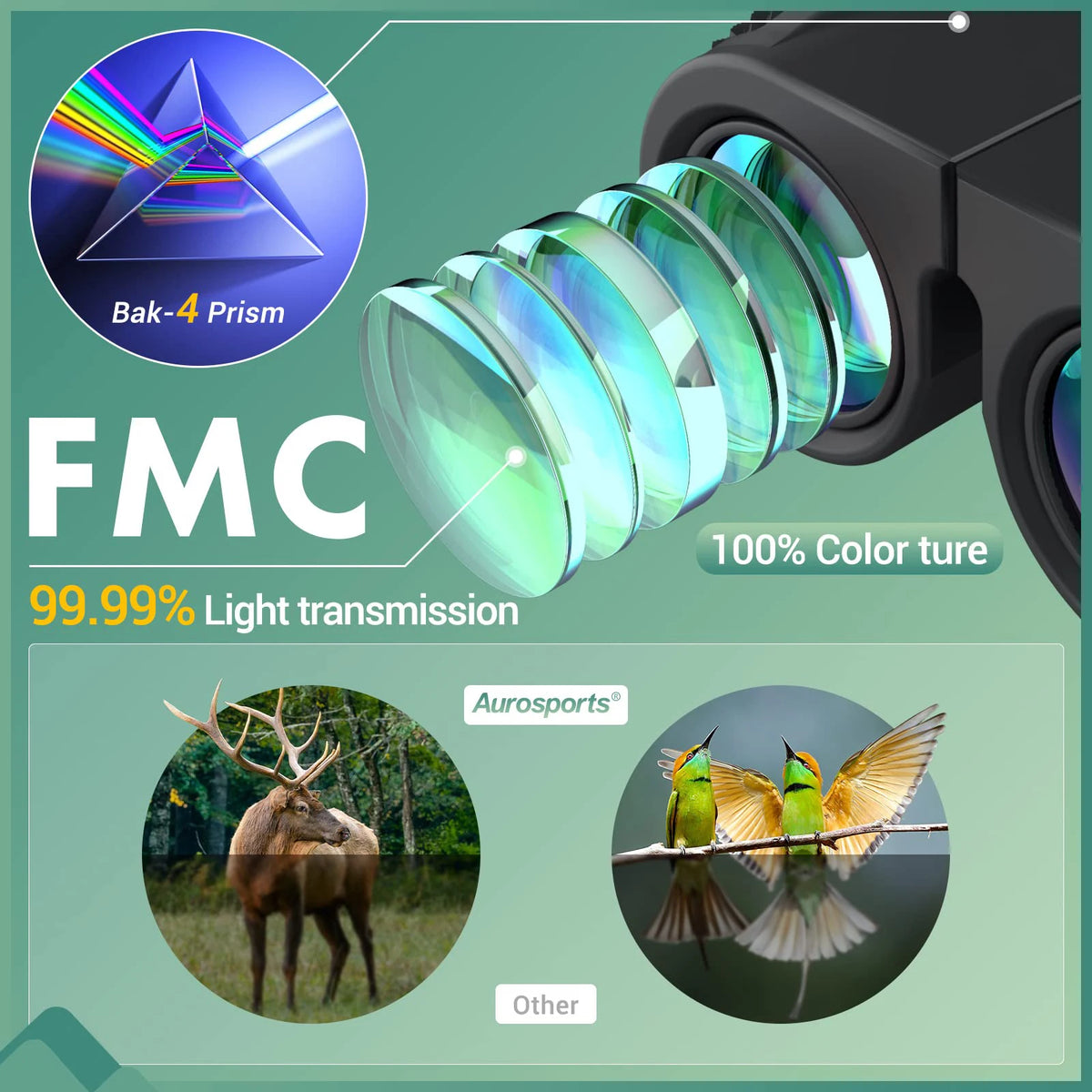 Compact 10x25 Folding Binoculars
